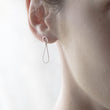 Load image into Gallery viewer, Drop earrings