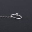 Load image into Gallery viewer, Zircon circle necklace